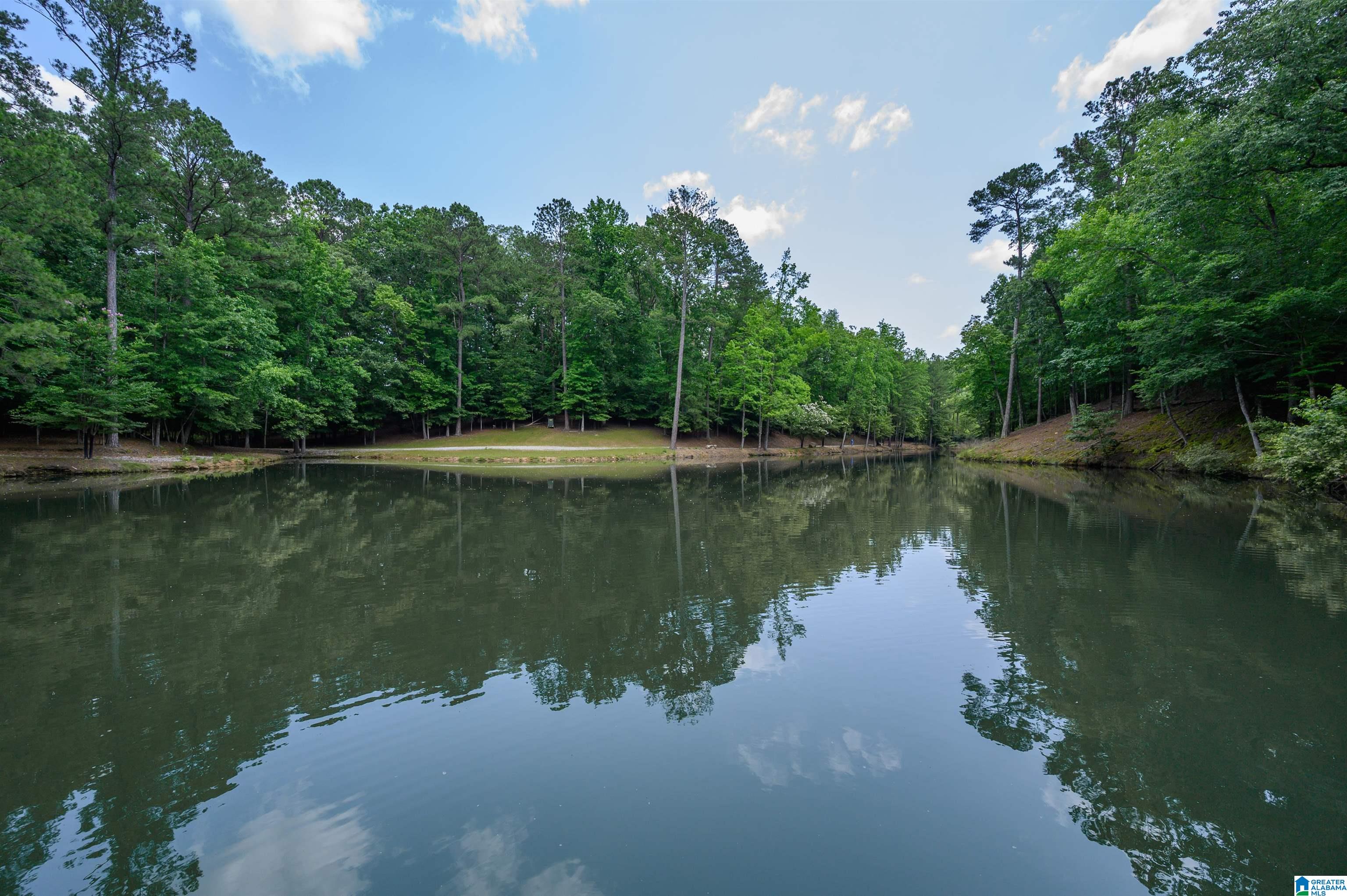 517 Hodgens Road Chelsea, AL 35043 - Photo 62 of 79
