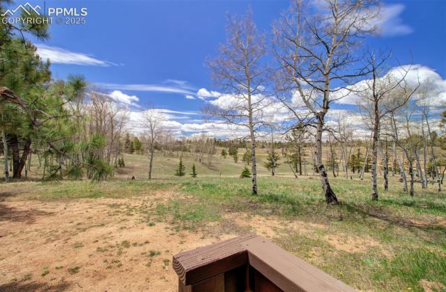749 Aspen Village Road Divide, CO 80814 - Photo 9 of 49 Looking from the front door out to the property