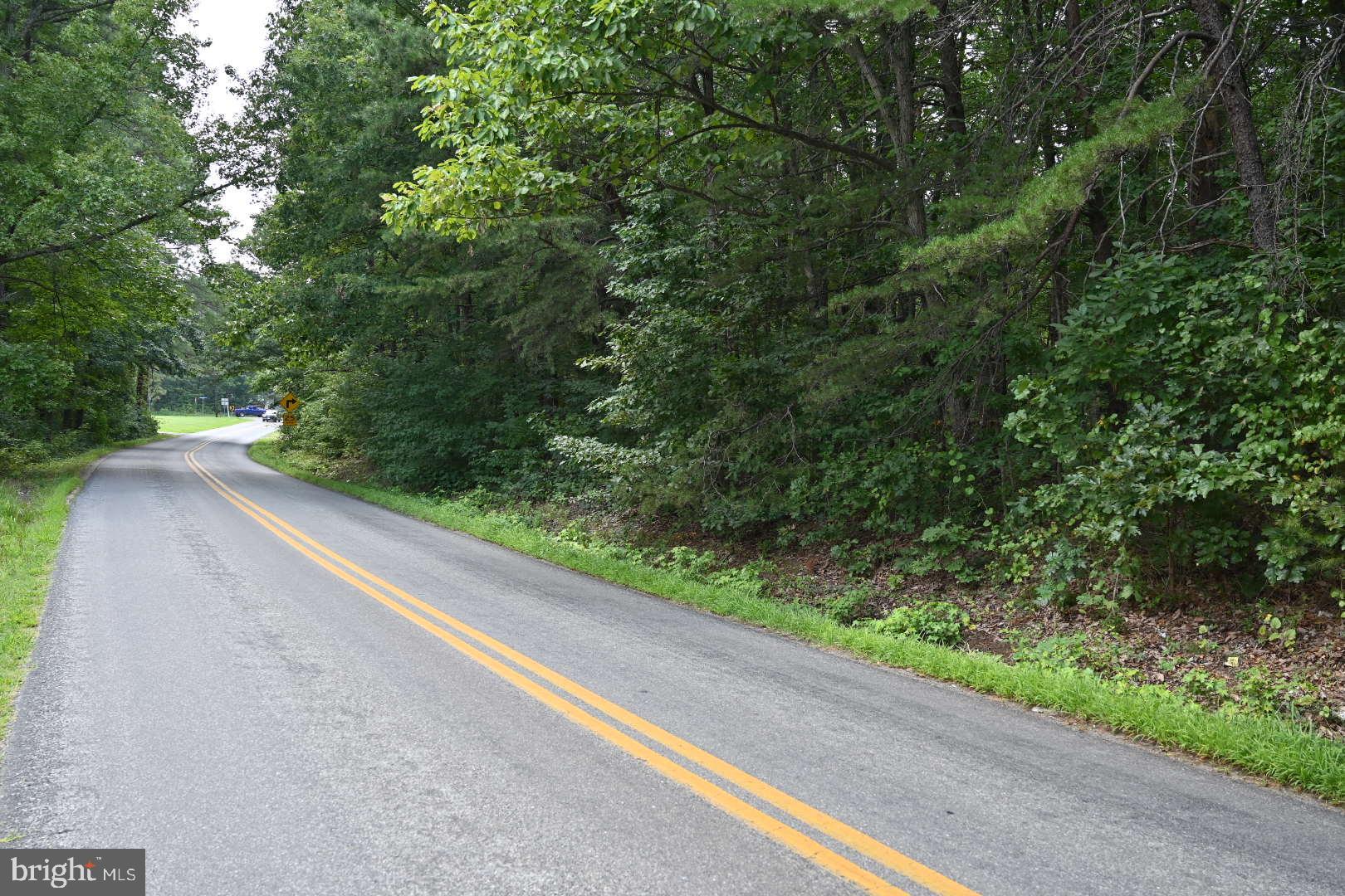 0 Mica Road Mineral, VA 23117 - Photo 1 of 14 Gallery Image 1