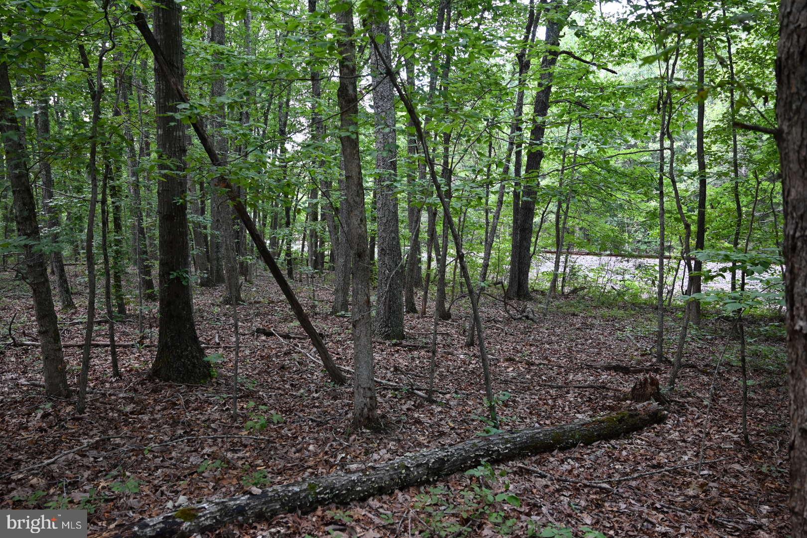 0 Mica Road Mineral, VA 23117 - Photo 12 of 14 Gallery Image 12