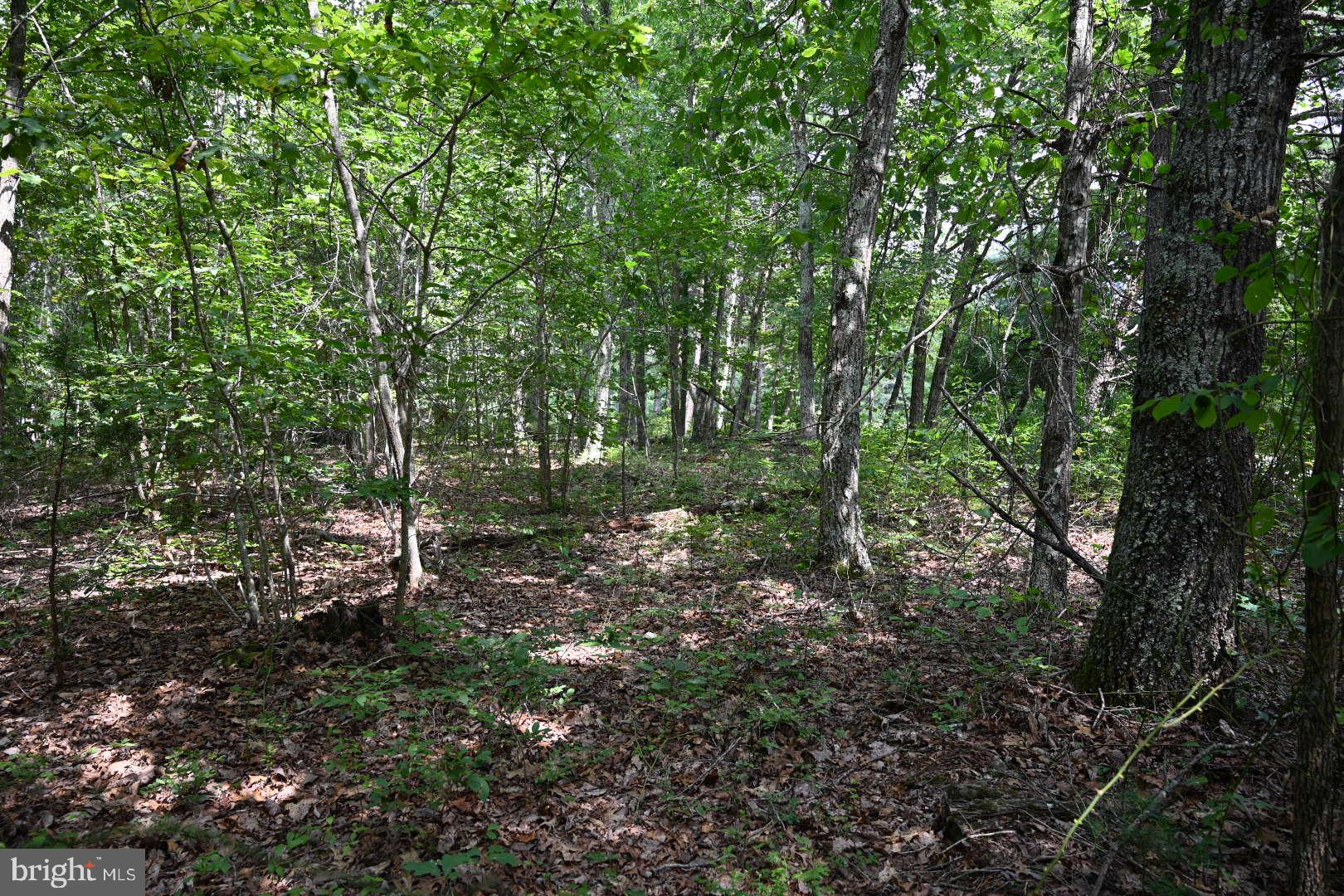 0 Mica Road Mineral, VA 23117 - Photo 5 of 14 Gallery Image 5