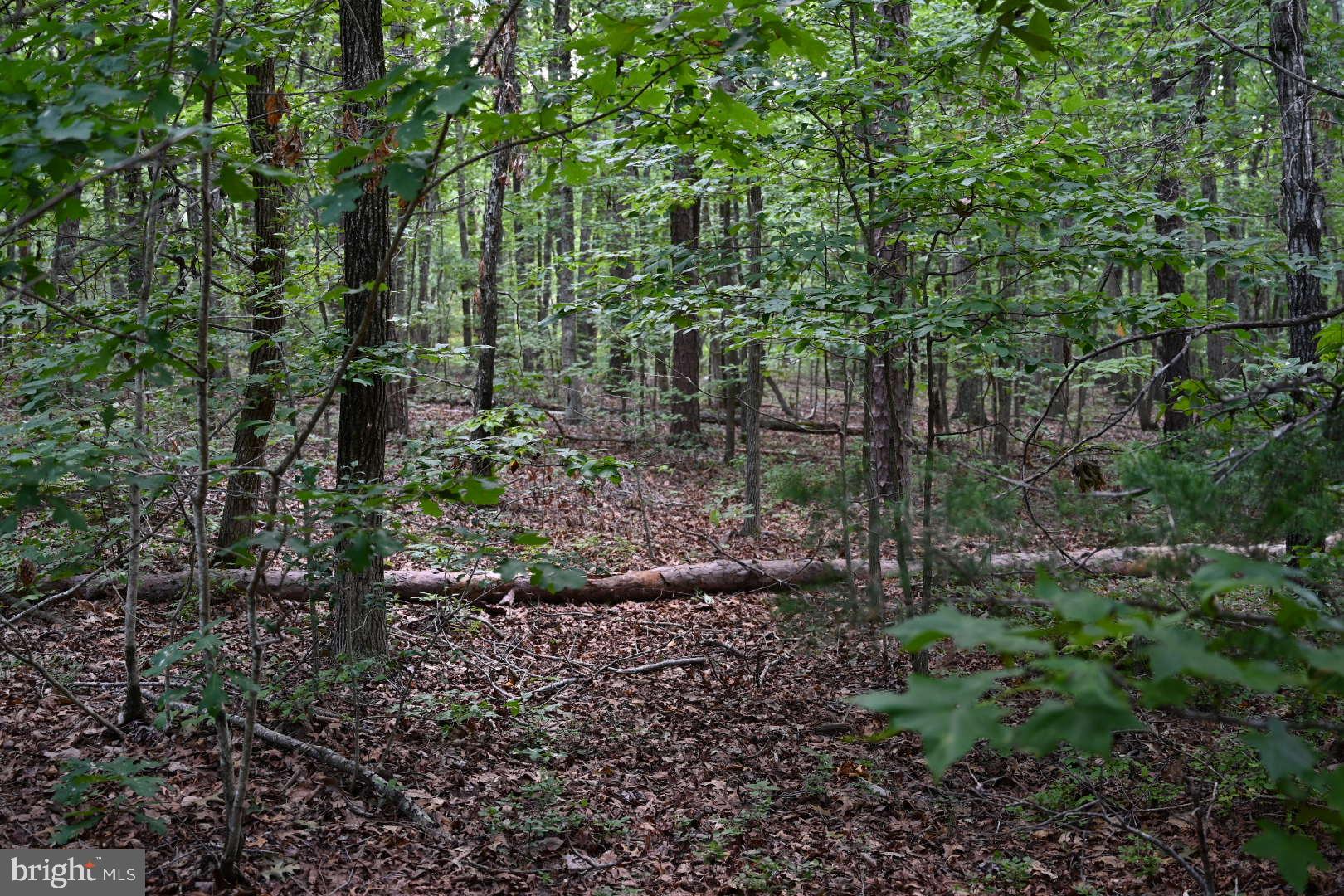 0 Mica Road Mineral, VA 23117 - Photo 10 of 14 Gallery Image 10