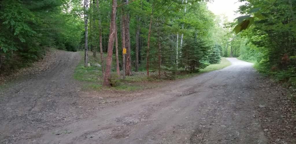 Tbd Cornforth Road Industry, ME 04938 - Photo 12 of 16 Stay Left