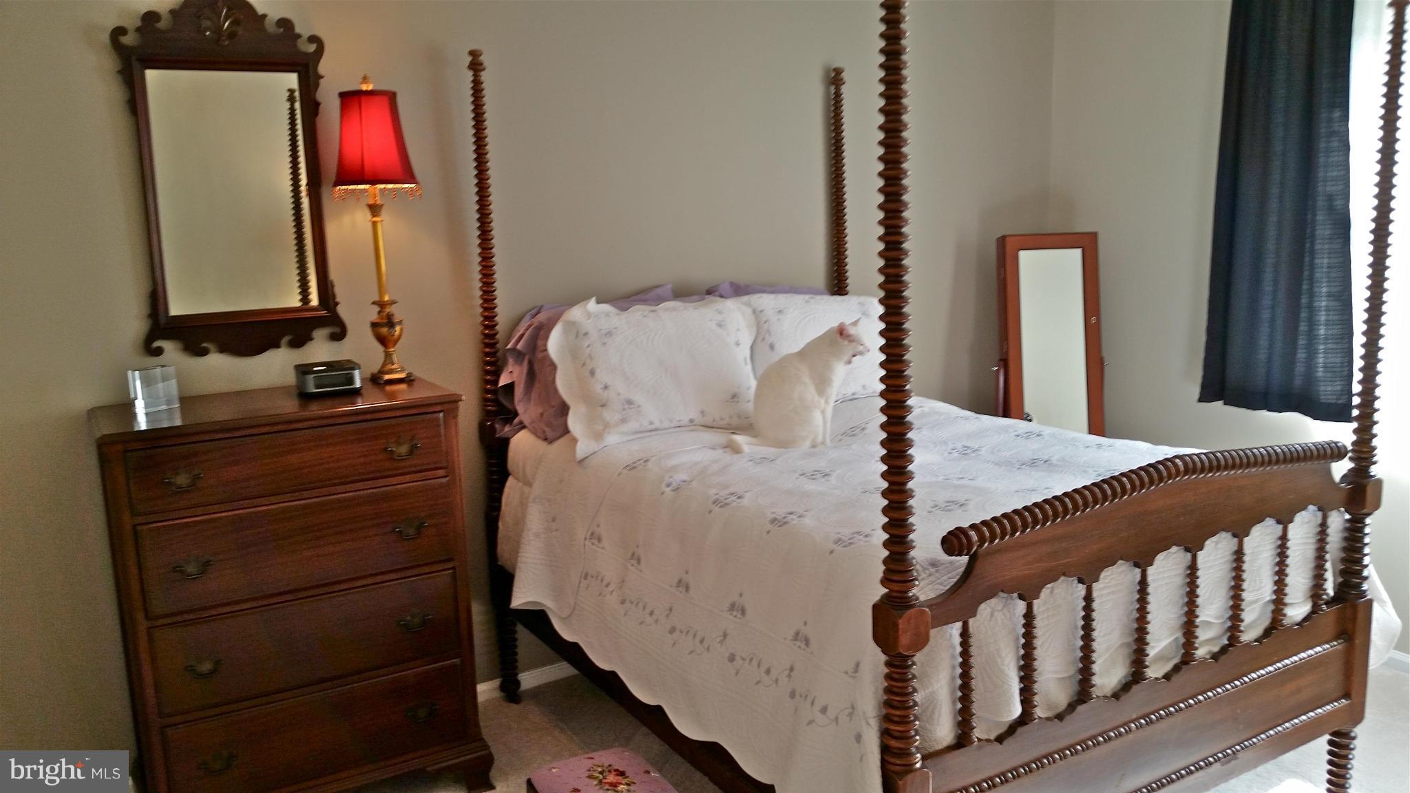 4519 28th Road South, Unit D Arlington, VA 22206 - Photo 13 of 27 Bedroom (Master)