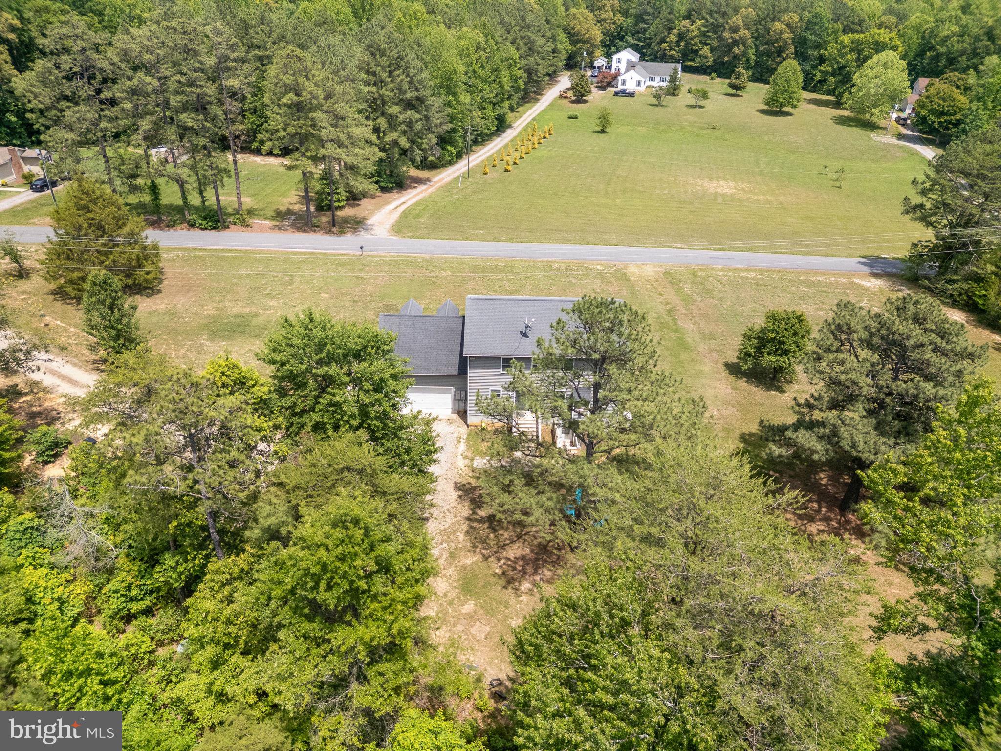 22088 Landora Bridge Road Ruther Glen, VA 22546 - Photo 99 of 122 Serene home nestled in lush greenery.