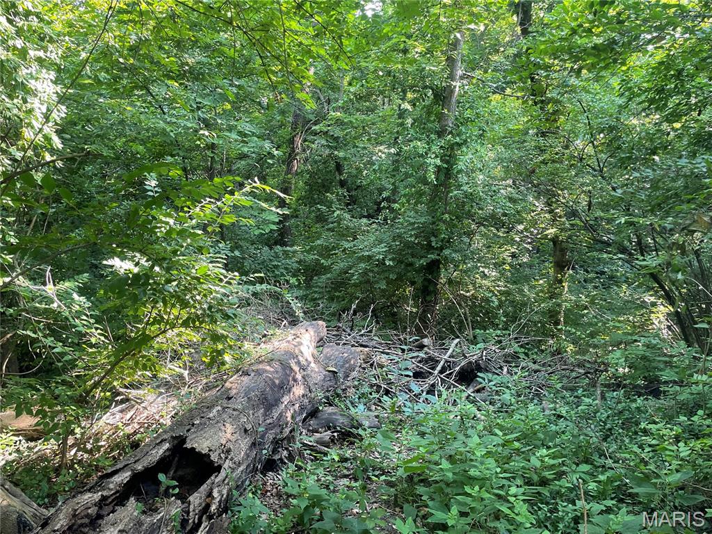 317 M Street Edwardsville, IL 62025 - Photo 2 of 4