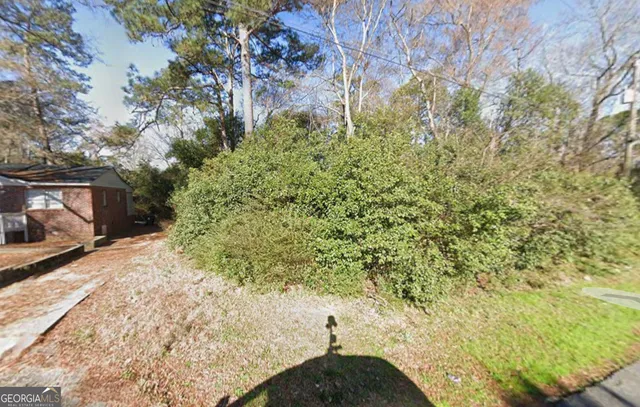 a view of a yard with plants and trees