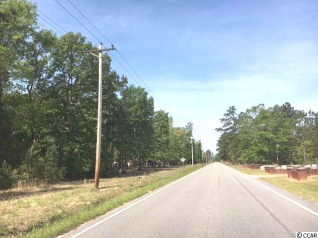 3298 Daisy Road Loris, SC 29569 - Photo 3 of 3 Gallery Image 3