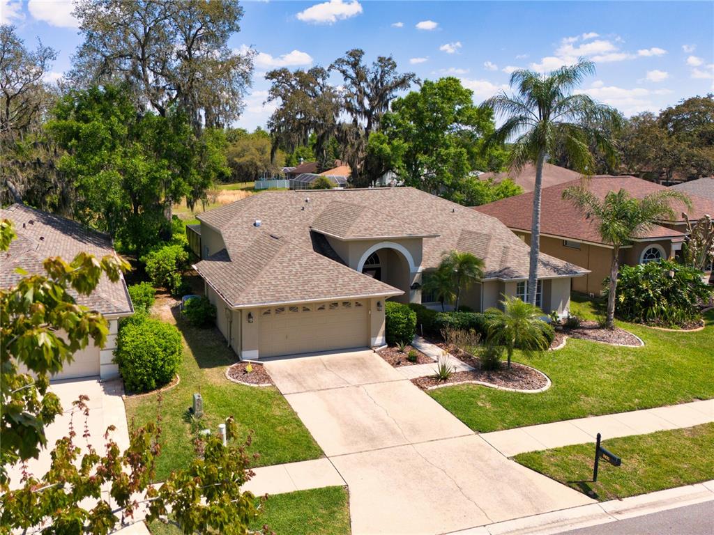 8435 Basuto Drive Trinity, FL 34655 - Photo 11 of 70