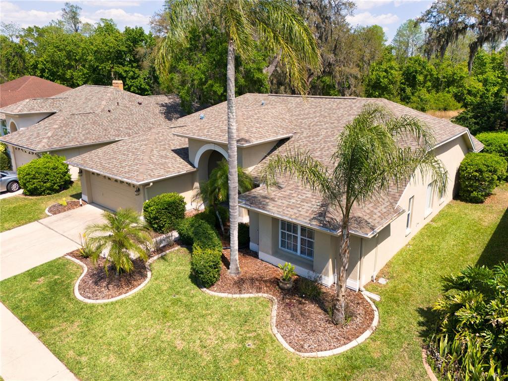 8435 Basuto Drive Trinity, FL 34655 - Photo 12 of 70