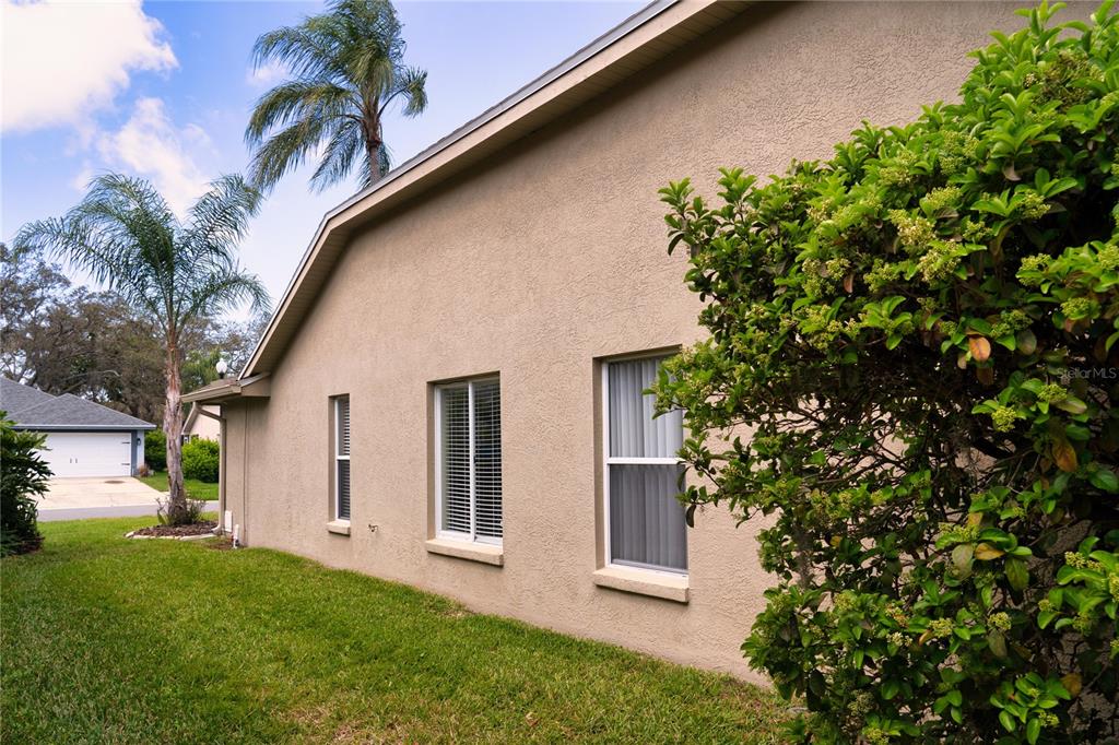 8435 Basuto Drive Trinity, FL 34655 - Photo 14 of 70