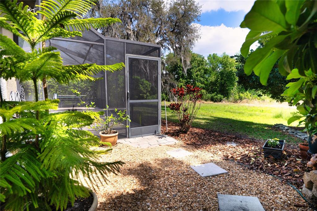 8435 Basuto Drive Trinity, FL 34655 - Photo 16 of 70