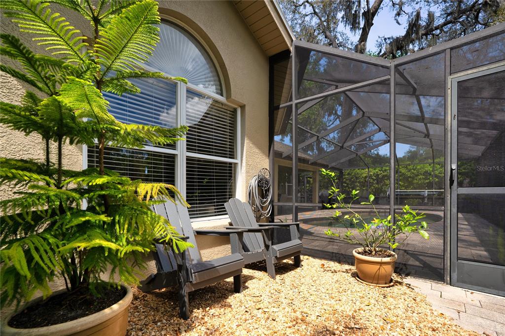8435 Basuto Drive Trinity, FL 34655 - Photo 17 of 70
