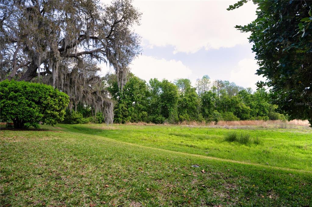 8435 Basuto Drive Trinity, FL 34655 - Photo 18 of 70
