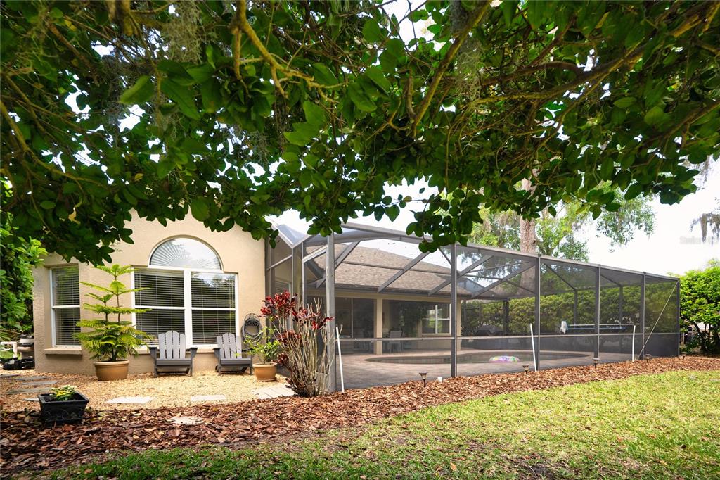 8435 Basuto Drive Trinity, FL 34655 - Photo 19 of 70