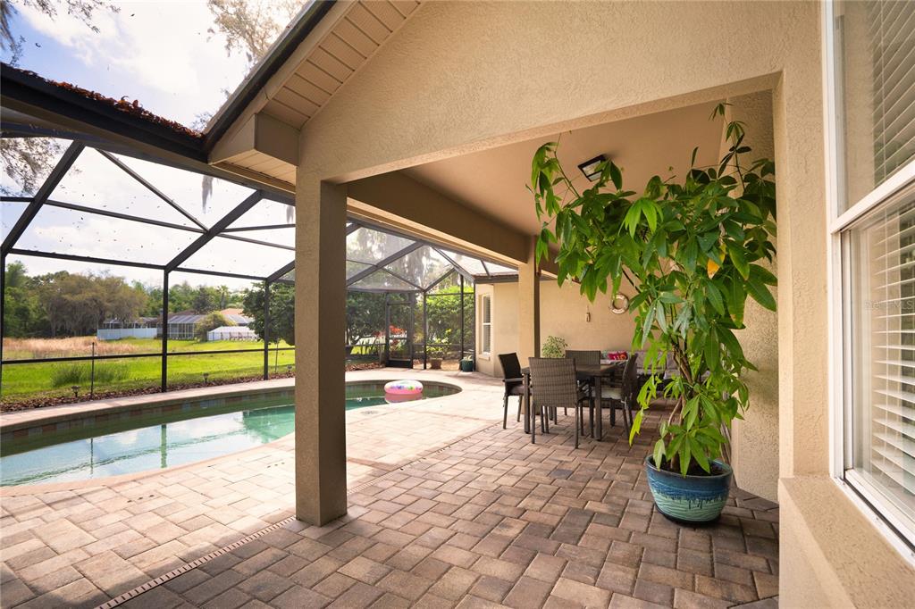 8435 Basuto Drive Trinity, FL 34655 - Photo 20 of 70