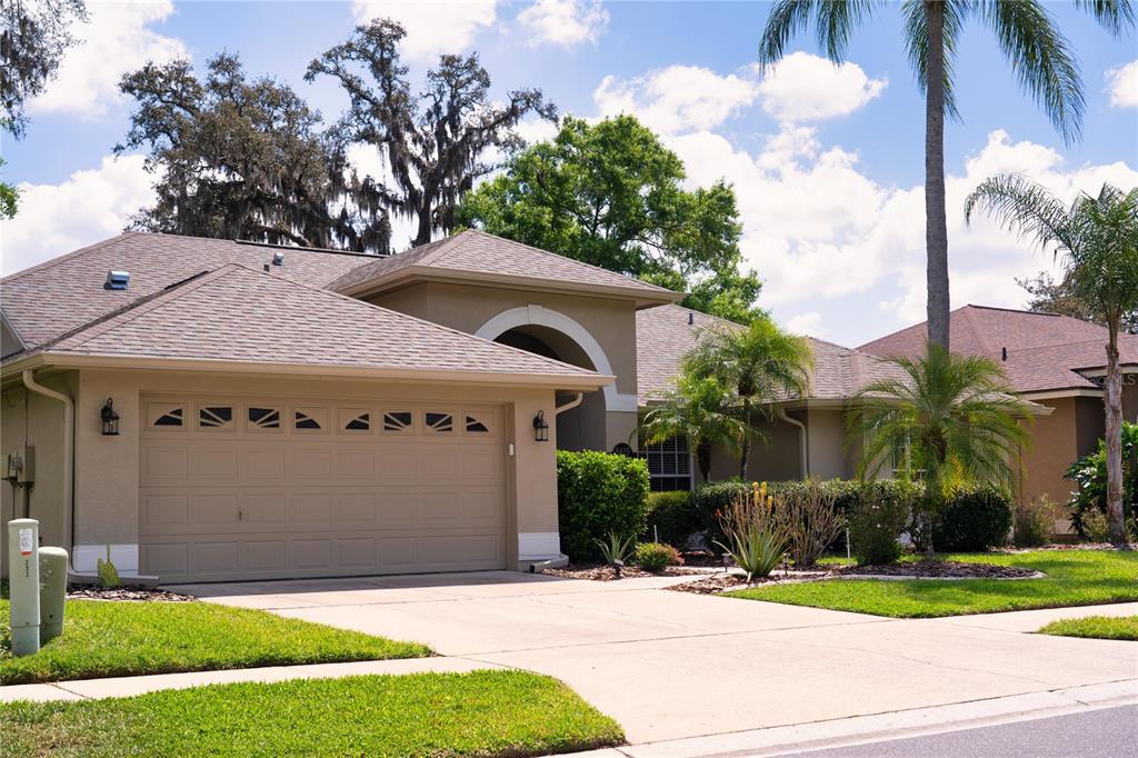 8435 Basuto Drive Trinity, FL 34655 - Photo 2 of 70