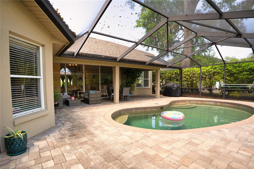 8435 Basuto Drive Trinity, FL 34655 - Photo 23 of 70