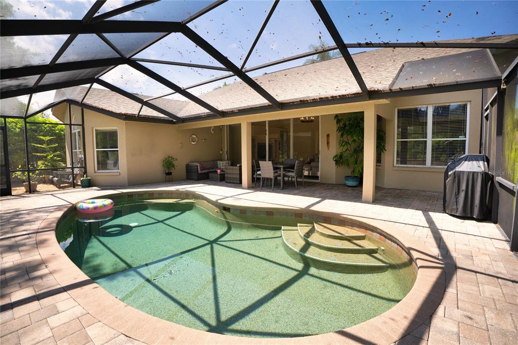 8435 Basuto Drive Trinity, FL 34655 - Photo 24 of 70