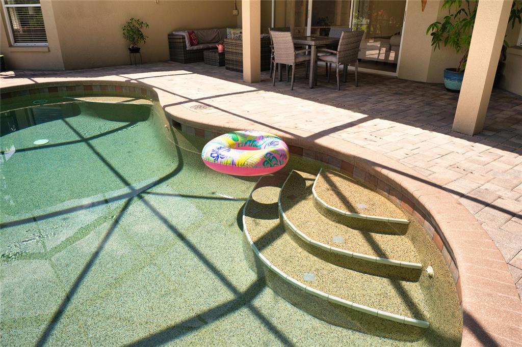 8435 Basuto Drive Trinity, FL 34655 - Photo 25 of 70