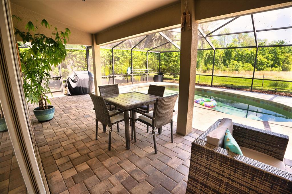 8435 Basuto Drive Trinity, FL 34655 - Photo 26 of 70