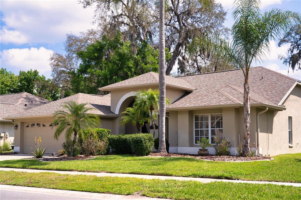 8435 Basuto Drive Trinity, FL 34655 - Photo 3 of 70