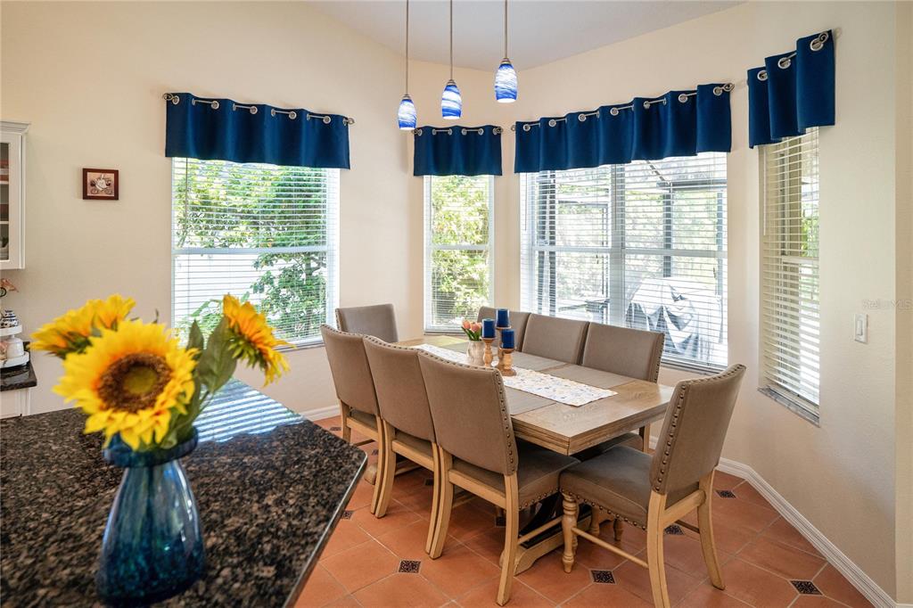 8435 Basuto Drive Trinity, FL 34655 - Photo 35 of 70