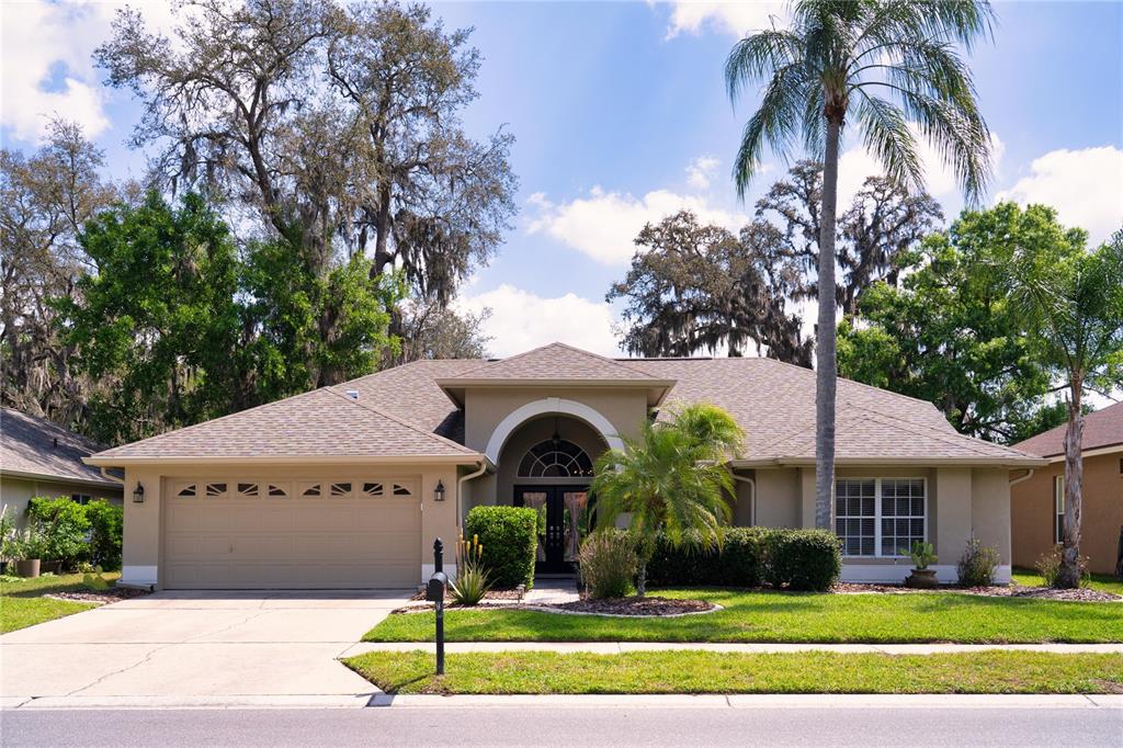 8435 Basuto Drive Trinity, FL 34655 - Photo 5 of 70