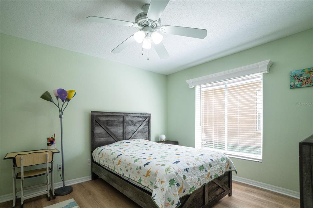 8435 Basuto Drive Trinity, FL 34655 - Photo 57 of 70