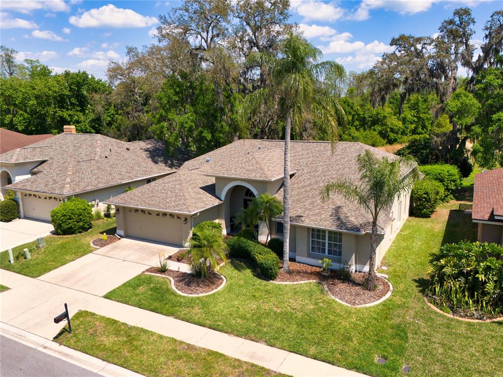 8435 Basuto Drive Trinity, FL 34655 - Photo 8 of 70