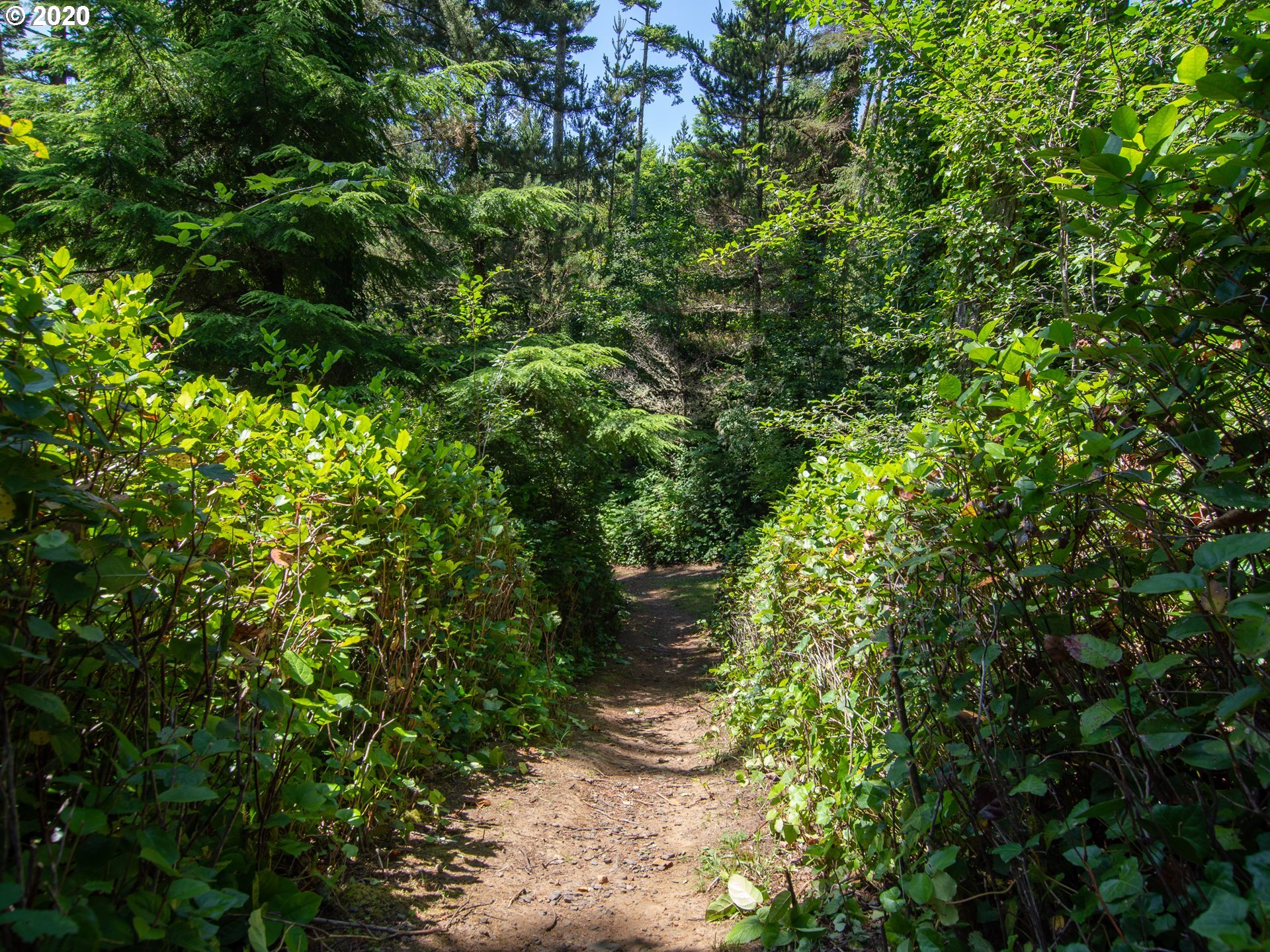 Breezee Way, Unit 2LOTS Tillamook, OR 97141 - Photo 7 of 9 a plant view