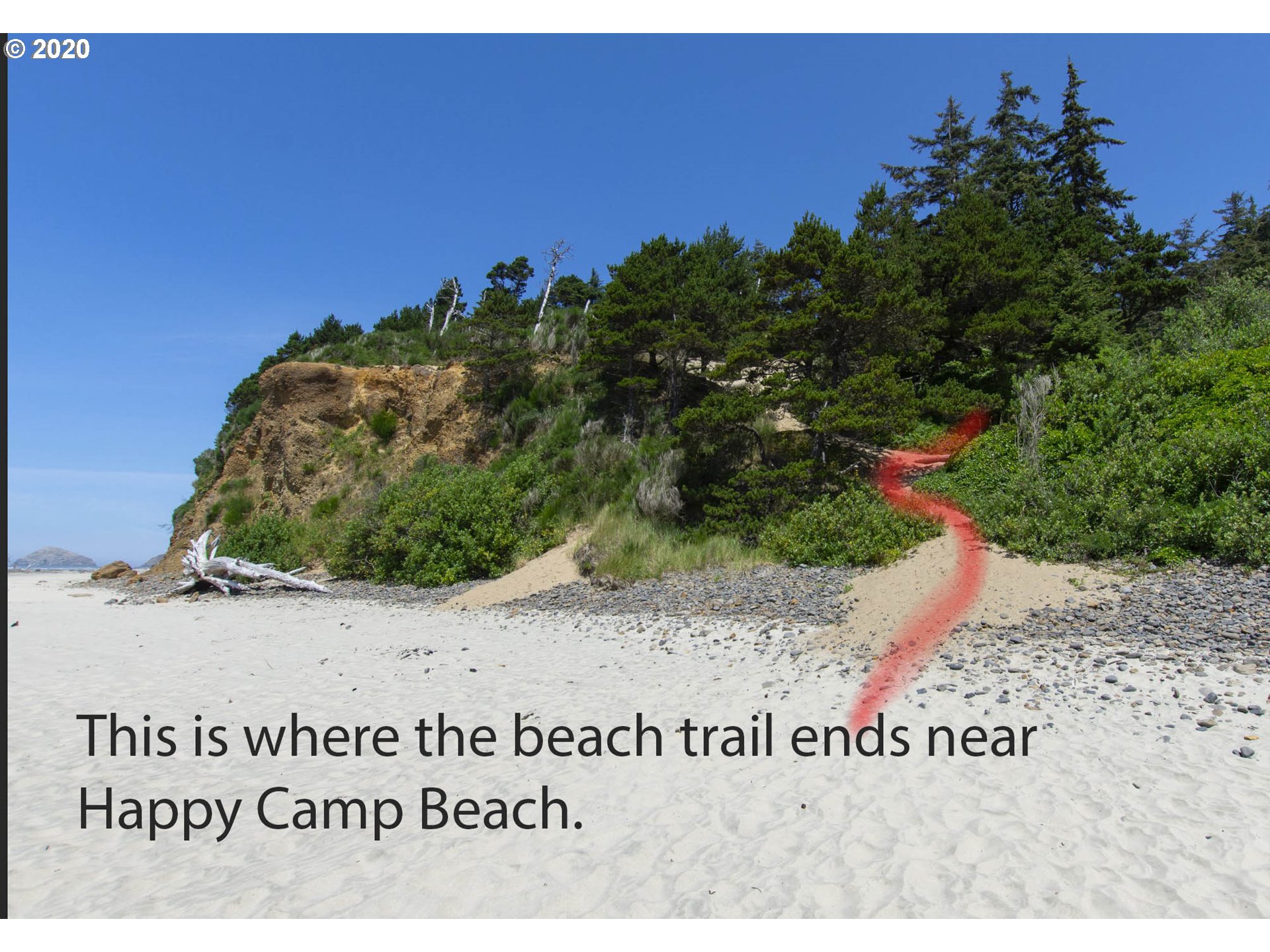 Breezee Way, Unit 2LOTS Tillamook, OR 97141 - Photo 8 of 9 a view of a dry yard