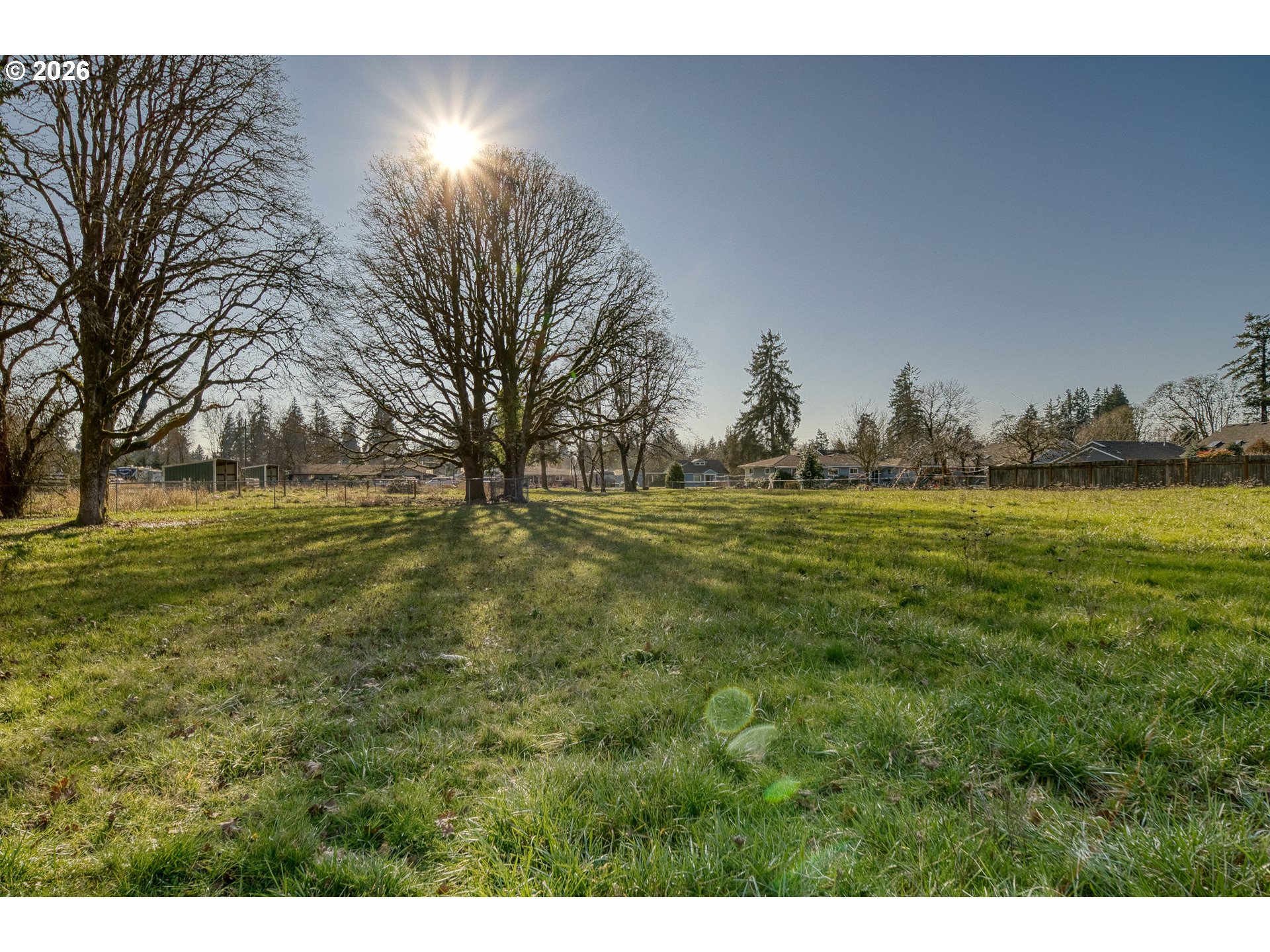 a view of outdoor space with yard and trees in the background