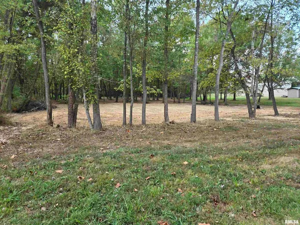 a view of open space with trees
