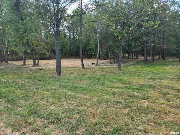 a green field with lots of trees
