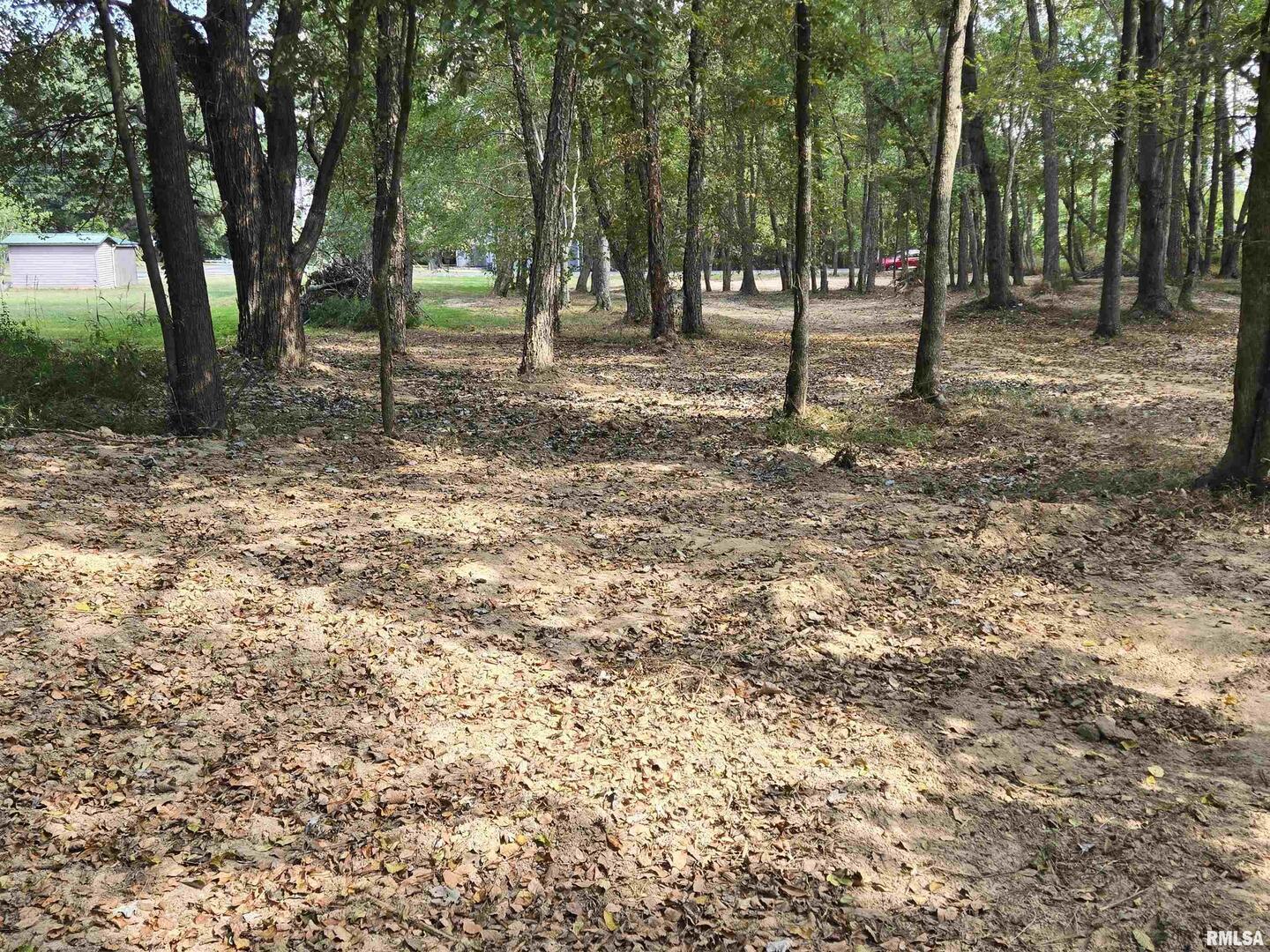 Lot 4 Norman Road Marion, IL 62959 - Photo 4 of 6