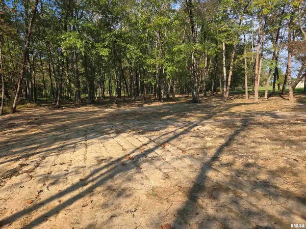 a view of outdoor space with trees