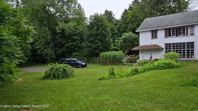 a view of a yard with plants