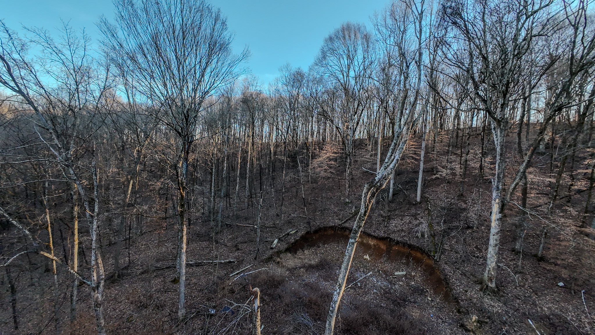 1843 D Garrison Branch Road Cottontown, TN 37048 - Photo 3 of 12 a view of a pathway with a tree
