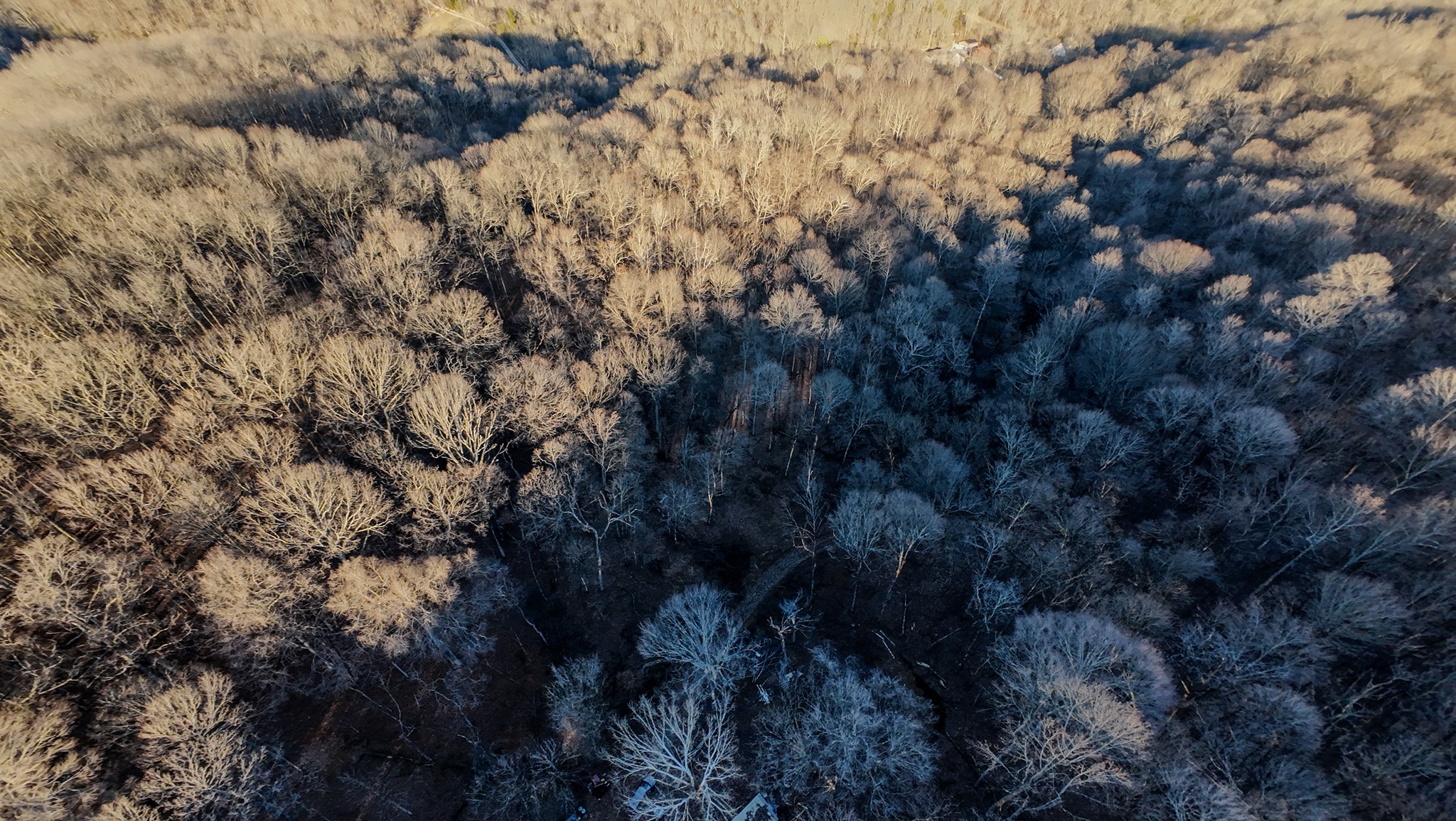 1843 D Garrison Branch Road Cottontown, TN 37048 - Photo 5 of 12 a view of a forest