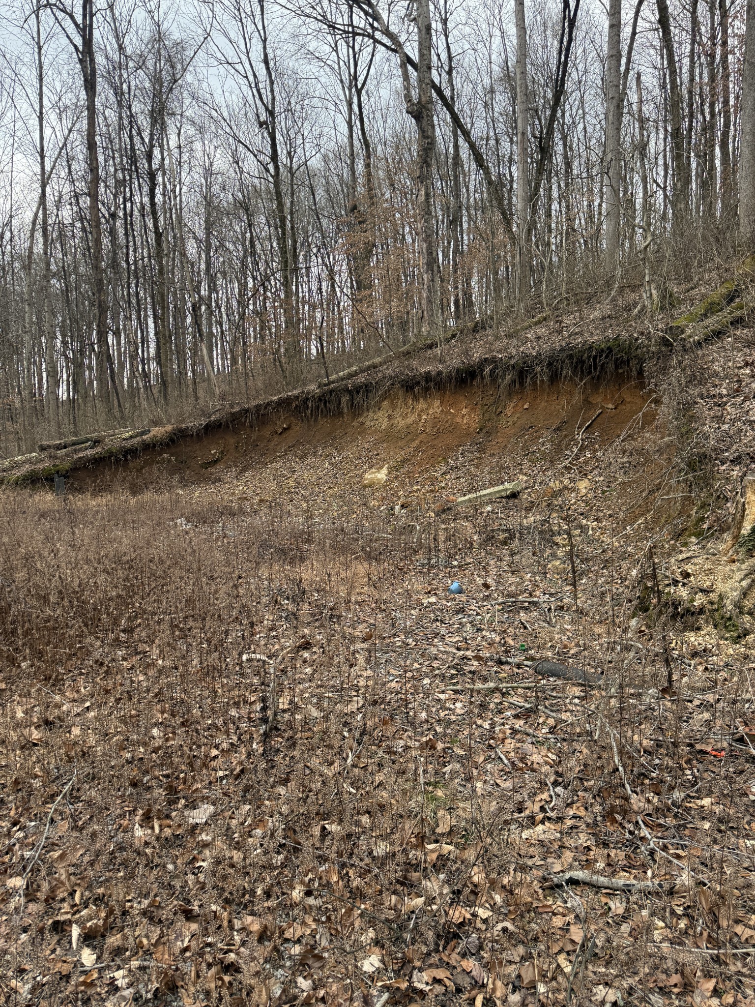 1843 D Garrison Branch Road Cottontown, TN 37048 - Photo 10 of 12 a view of a yard with wooden fence