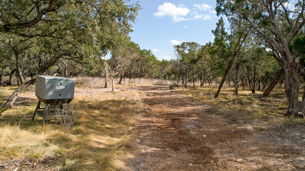 196 B Rock Bottom Road Hunt, TX 78024 - Photo 42 of 54