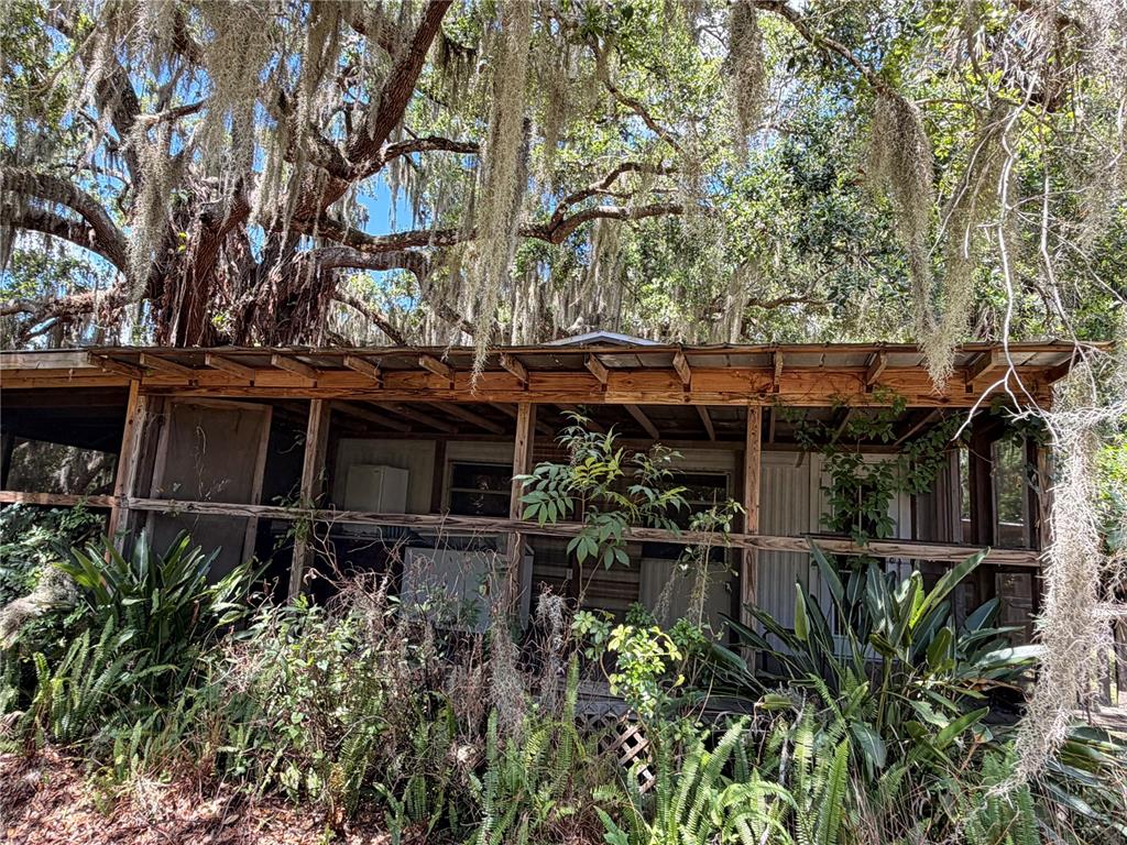 697 Eagle Watch Road Oak Hill, FL 32759 - Photo 10 of 16