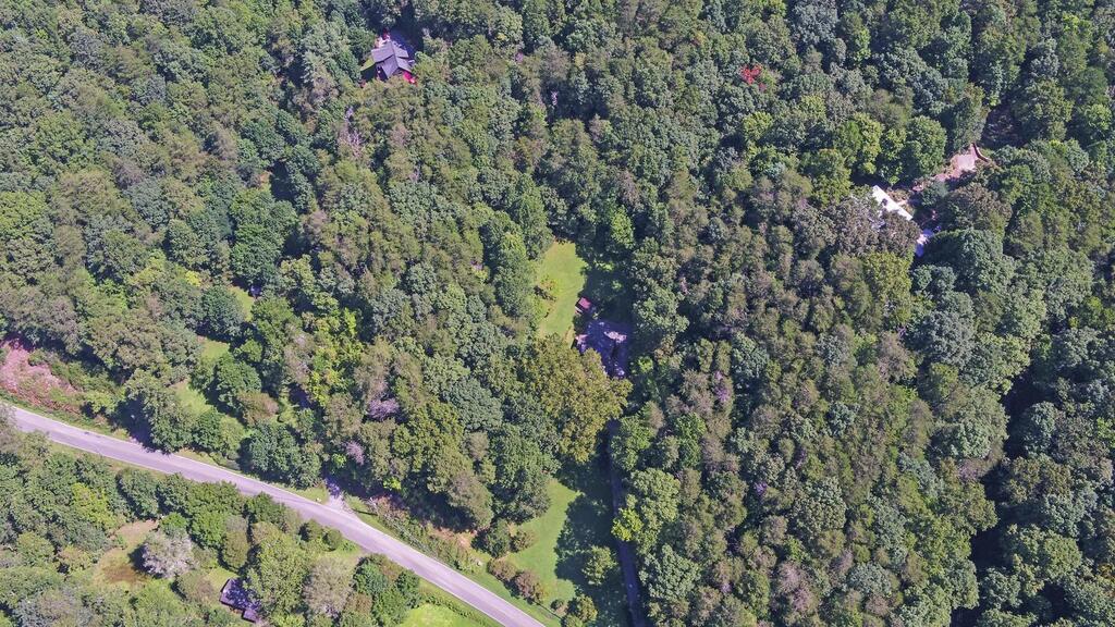 1374 Lucius Road Cherry Log, GA 30522 - Photo 55 of 64 Gallery Image 55