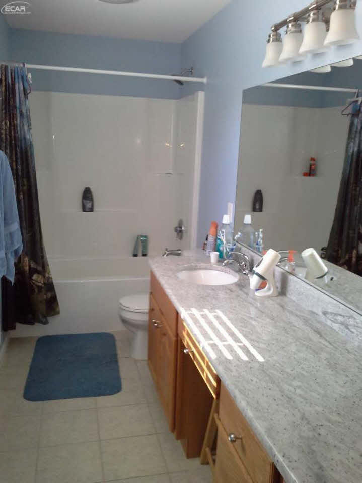 9215 Hogan Road Fenton, MI 48430 - Photo 9 of 19 21198420-8.JPG
