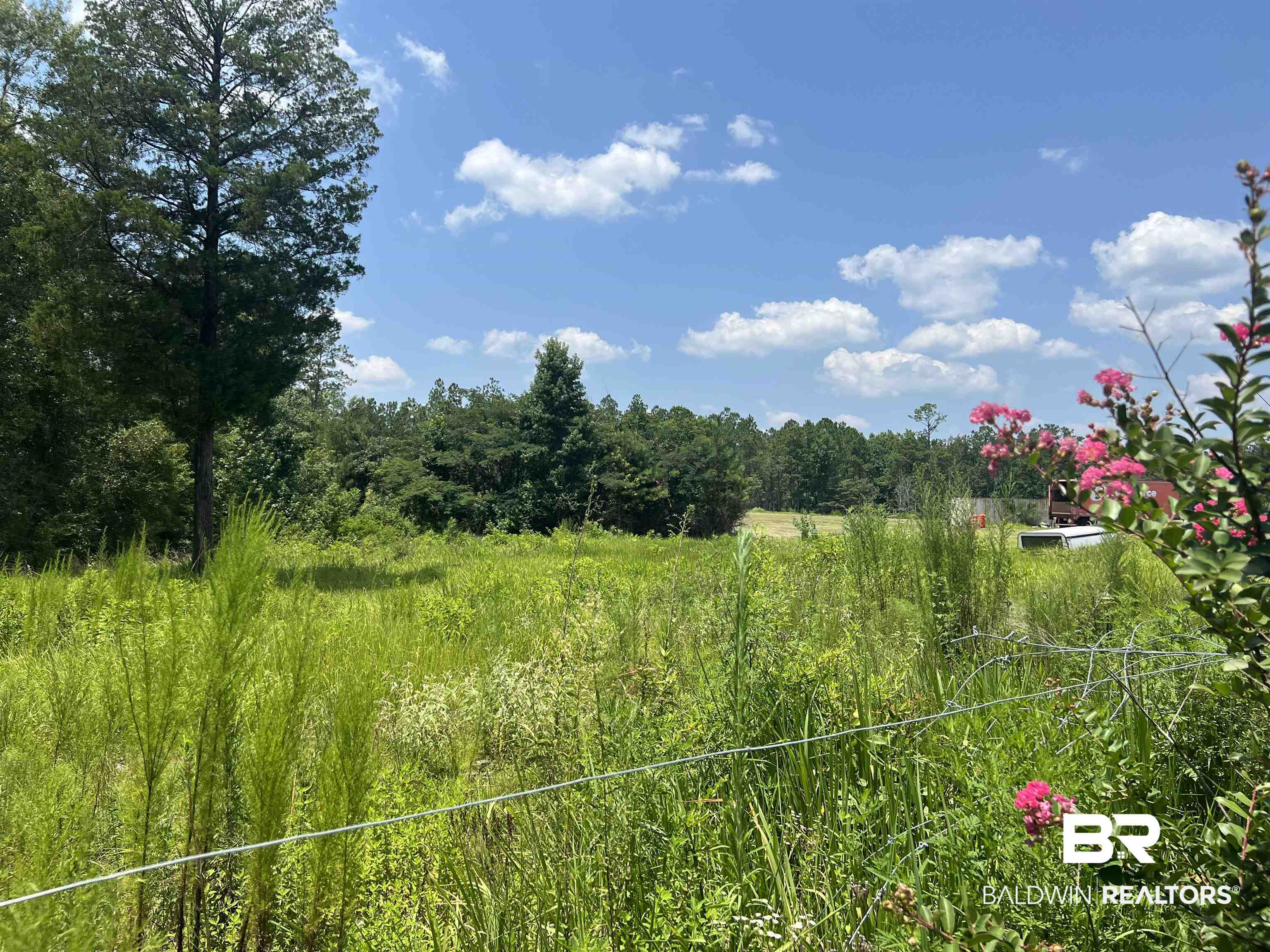 0 Beverly Jefferies Highway Citronelle, AL 36522 - Photo 1 of 19