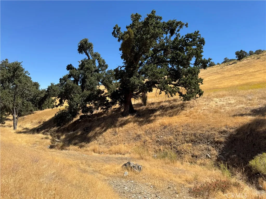0 Arosa Tehachapi, CA 93561 - Photo 2 of 17 a view of a snow covered with snow in the background