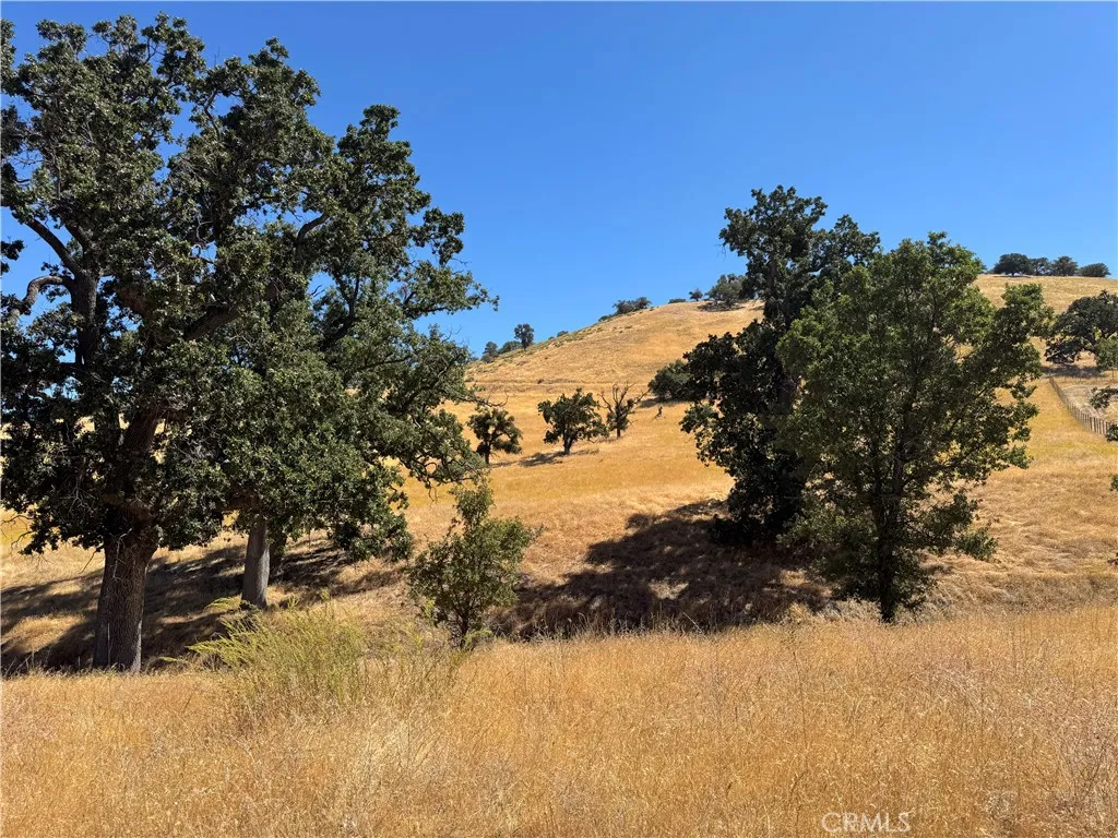 0 Arosa Tehachapi, CA 93561 - Photo 9 of 17