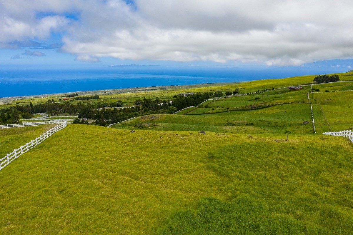 82 Kohala Ranch Road Kamuela, HI 96743 - Photo 11 of 16 Gallery Image 11