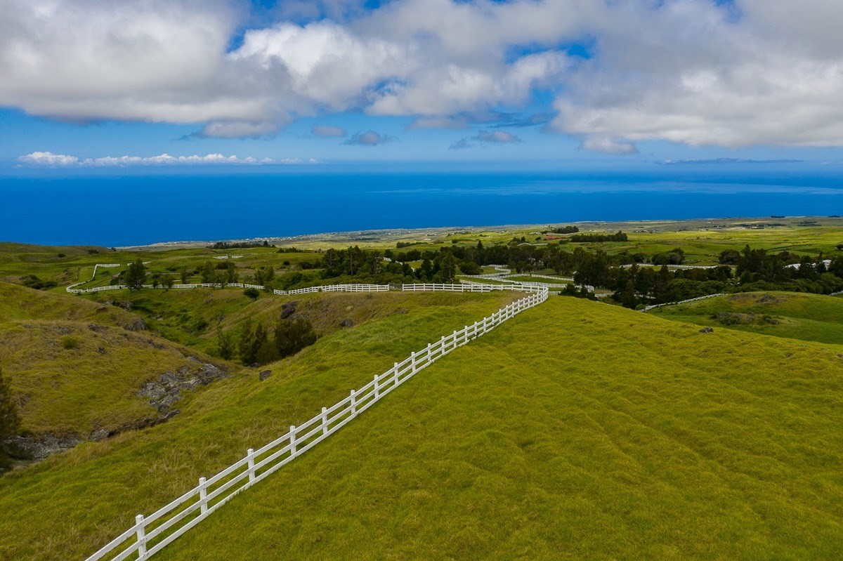 82 Kohala Ranch Road Kamuela, HI 96743 - Photo 12 of 16 Gallery Image 12